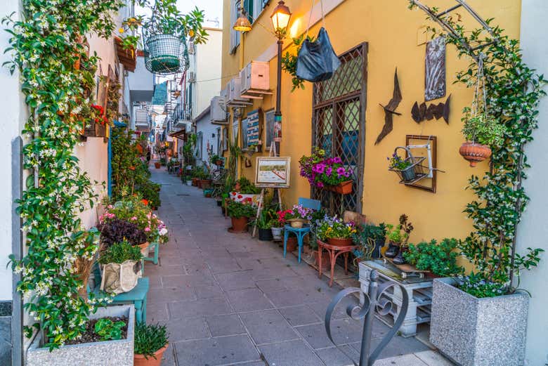 Maisons colorées d'Ischia