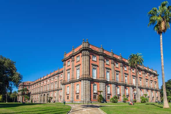 Visite privée du musée Capodimonte